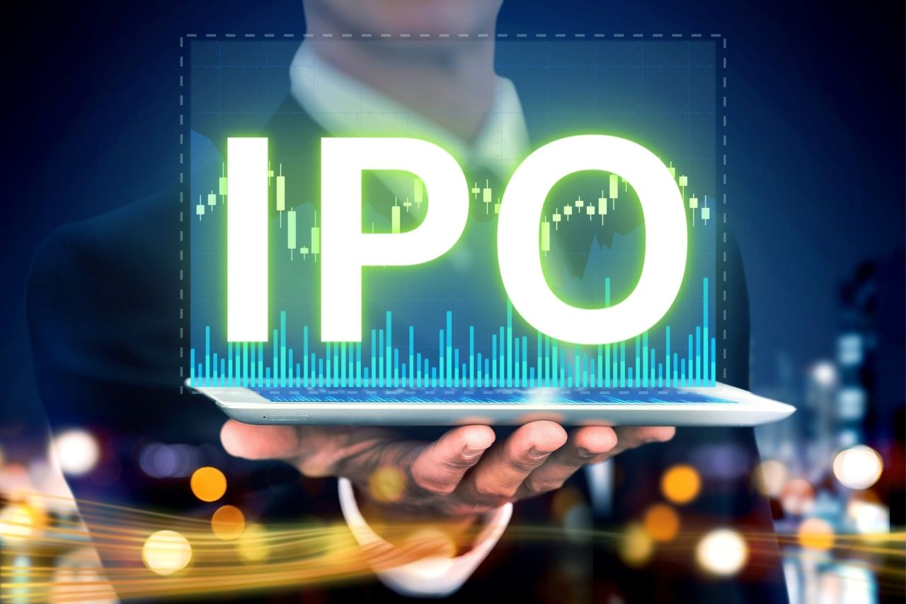 Does Bharti Hexacom IPO offer investment opportunities for a Investor?